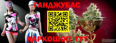 Альфа ПВП Бийск