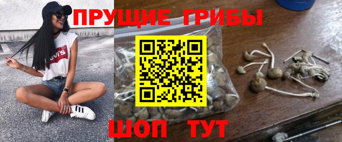 Великие Луки  Галлюциногенные грибы прущие грибы  Вход с VPN 